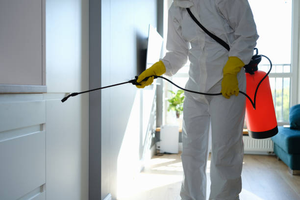 Best Insurance-Related Mold Remediation in Lake Orion, MI