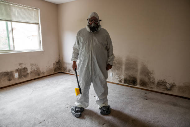 Best Commercial Mold Remediation in Lake Orion, MI